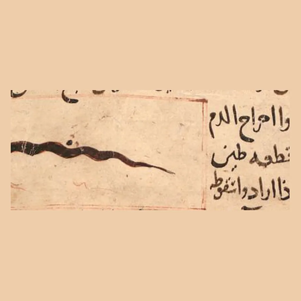 علق: المنمنمة في المخطوط