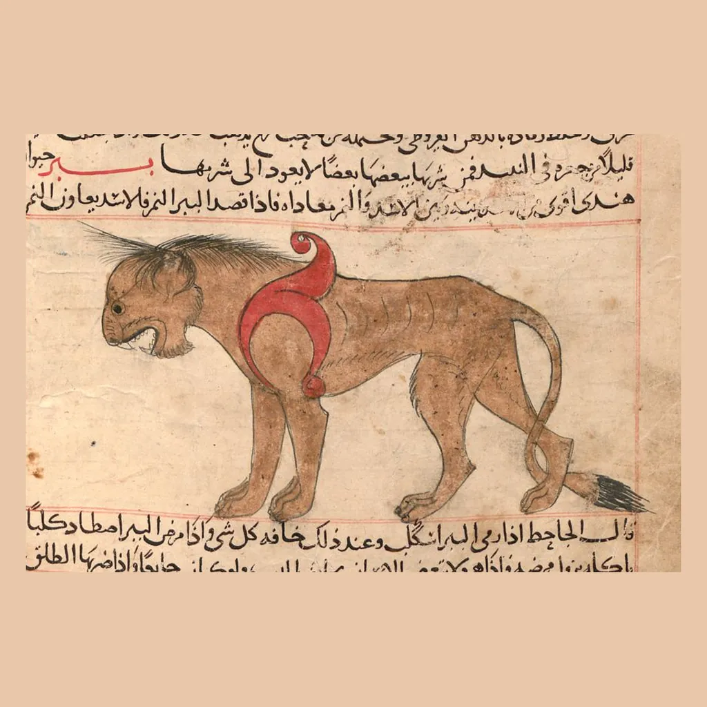 ببر: المنمنمة في المخطوط