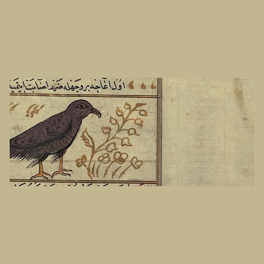 بازي: المنمنمة في المخطوط