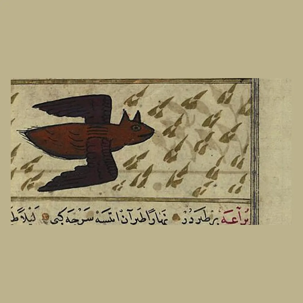 خفاش: المنمنمة في المخطوط