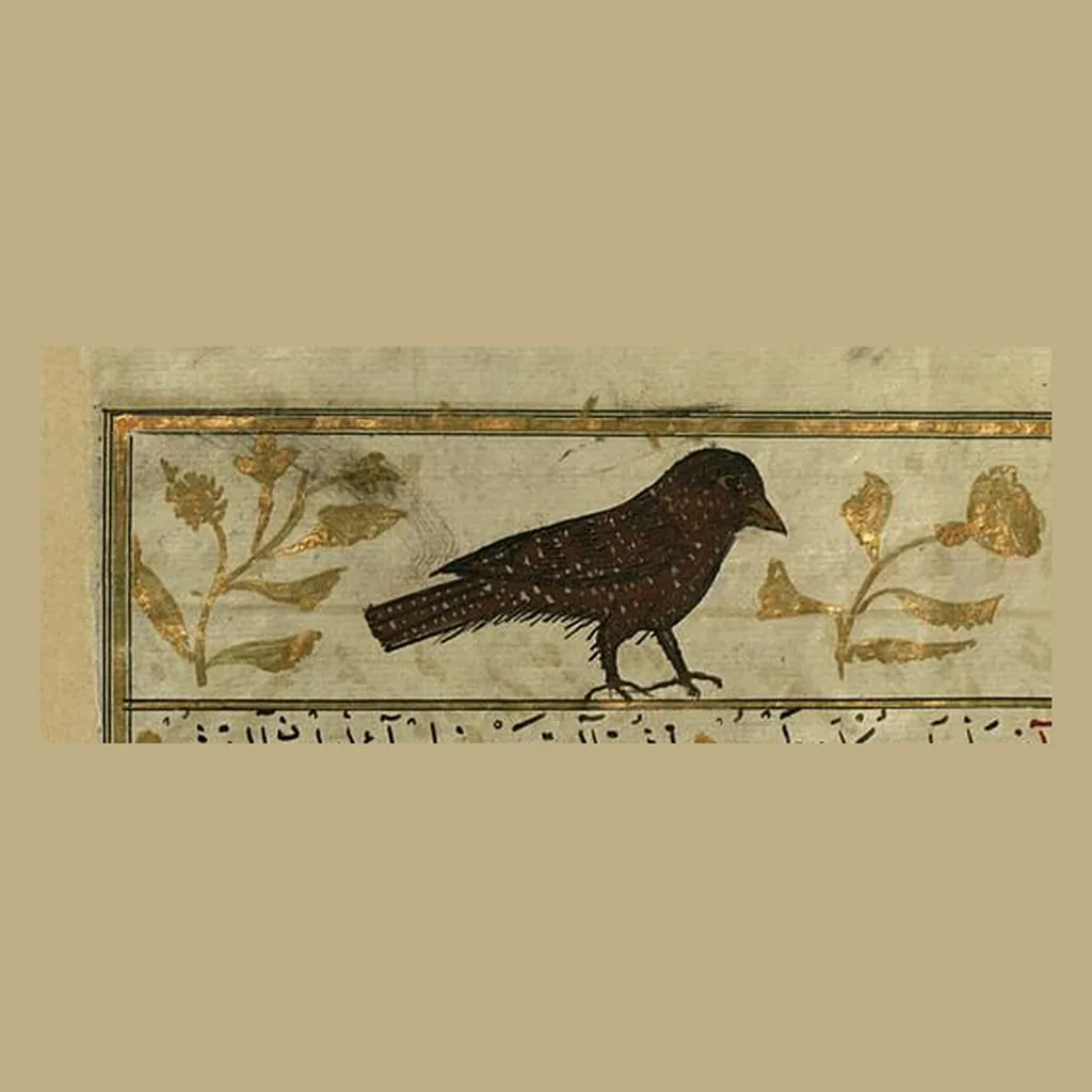 زرزور: المنمنمة في المخطوط