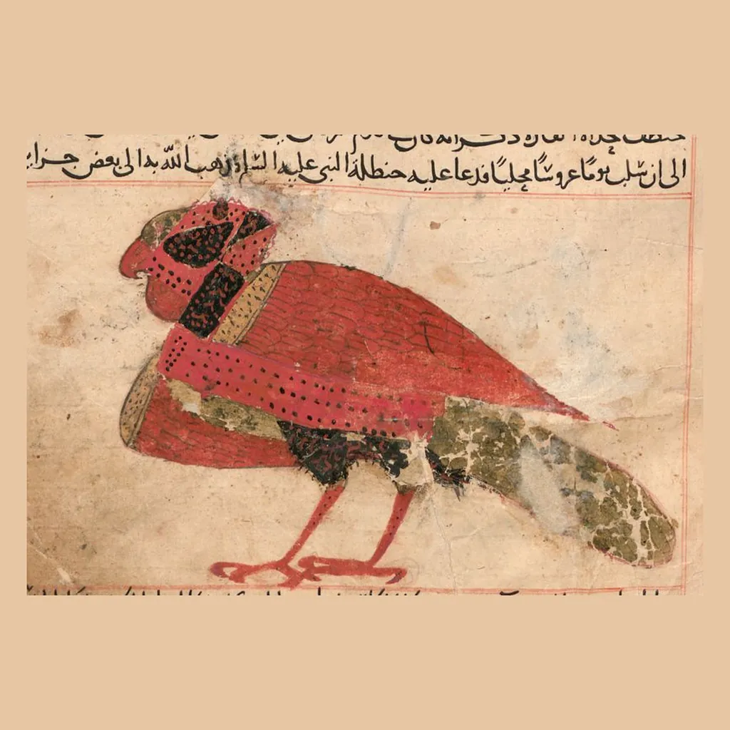 عنقاء: المنمنمة في المخطوط