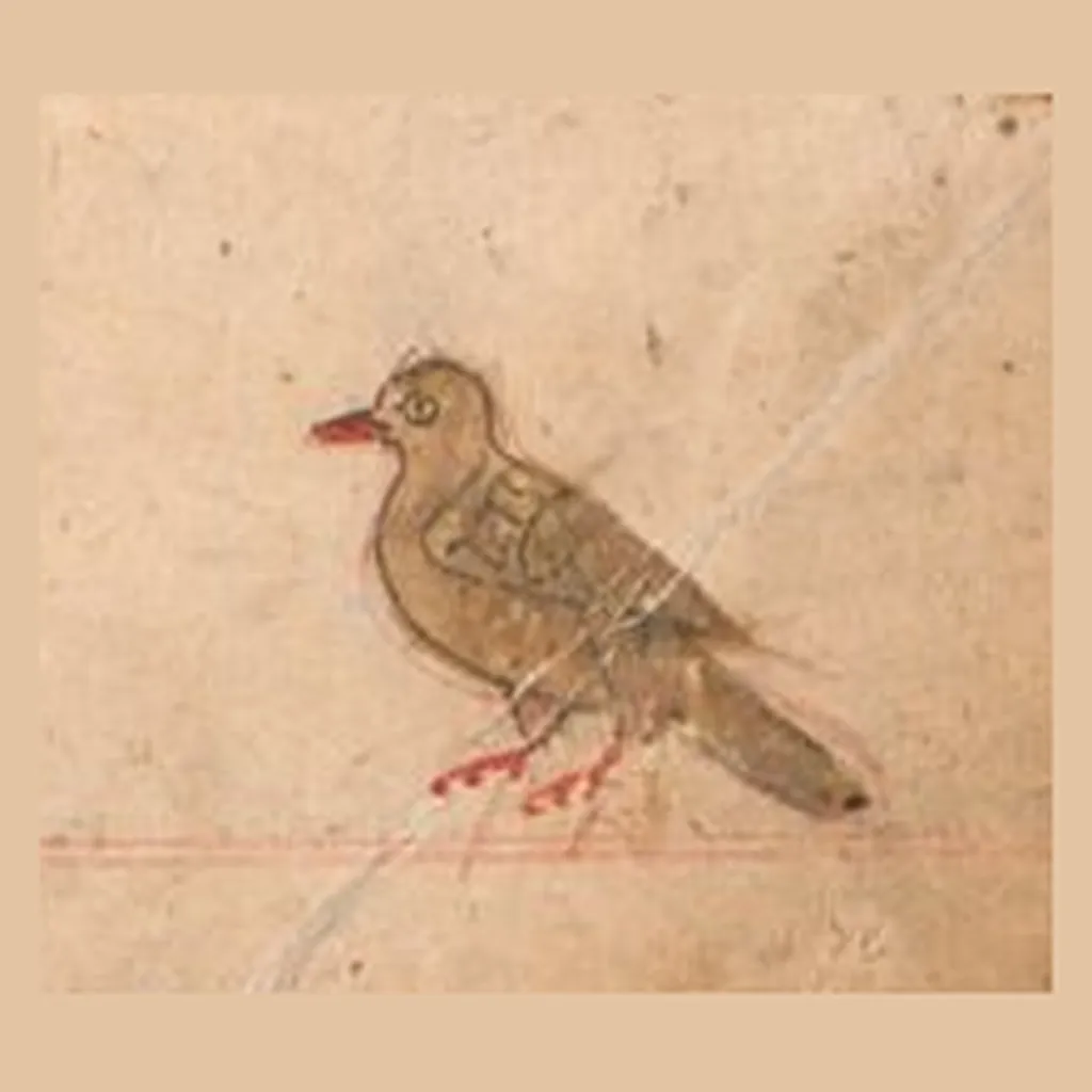 قطا: المنمنمة في المخطوط
