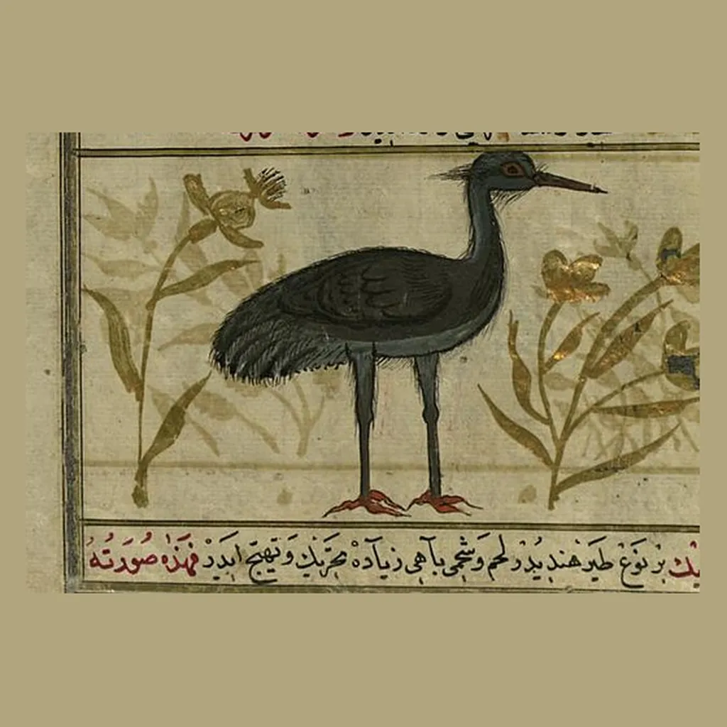 كركي: المنمنمة في المخطوط