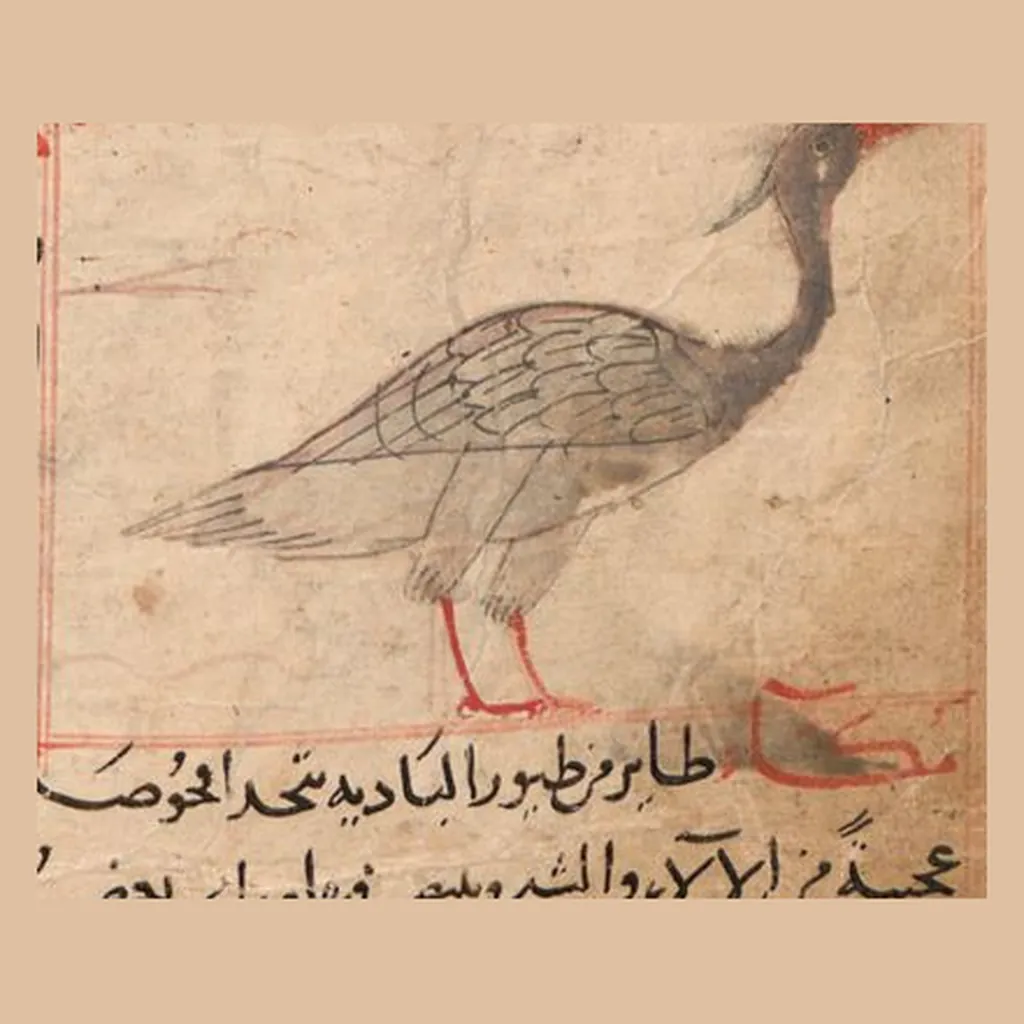 مالك الحزين: المنمنمة في المخطوط