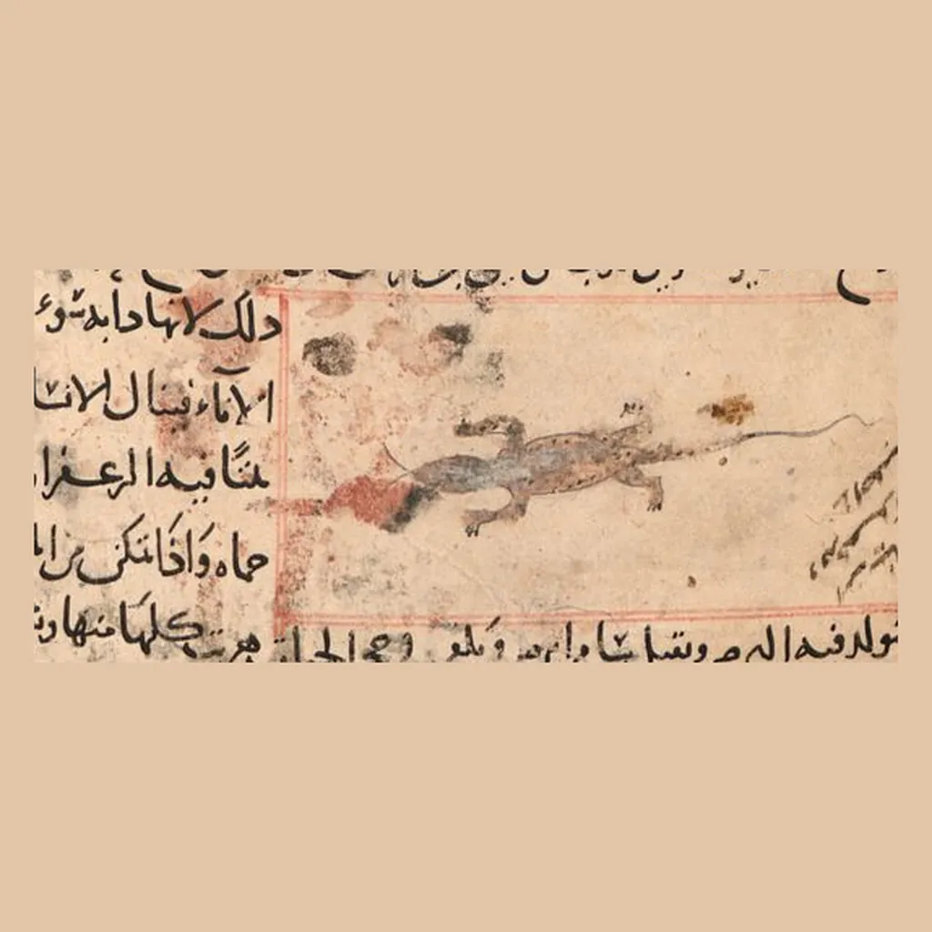 سام أبرص: المنمنمة في المخطوط