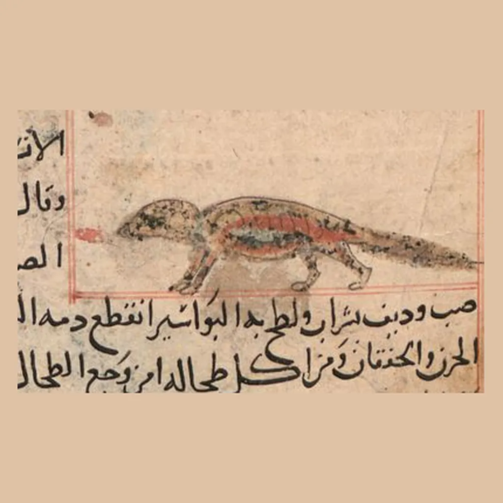 ضب: المنمنمة في المخطوط