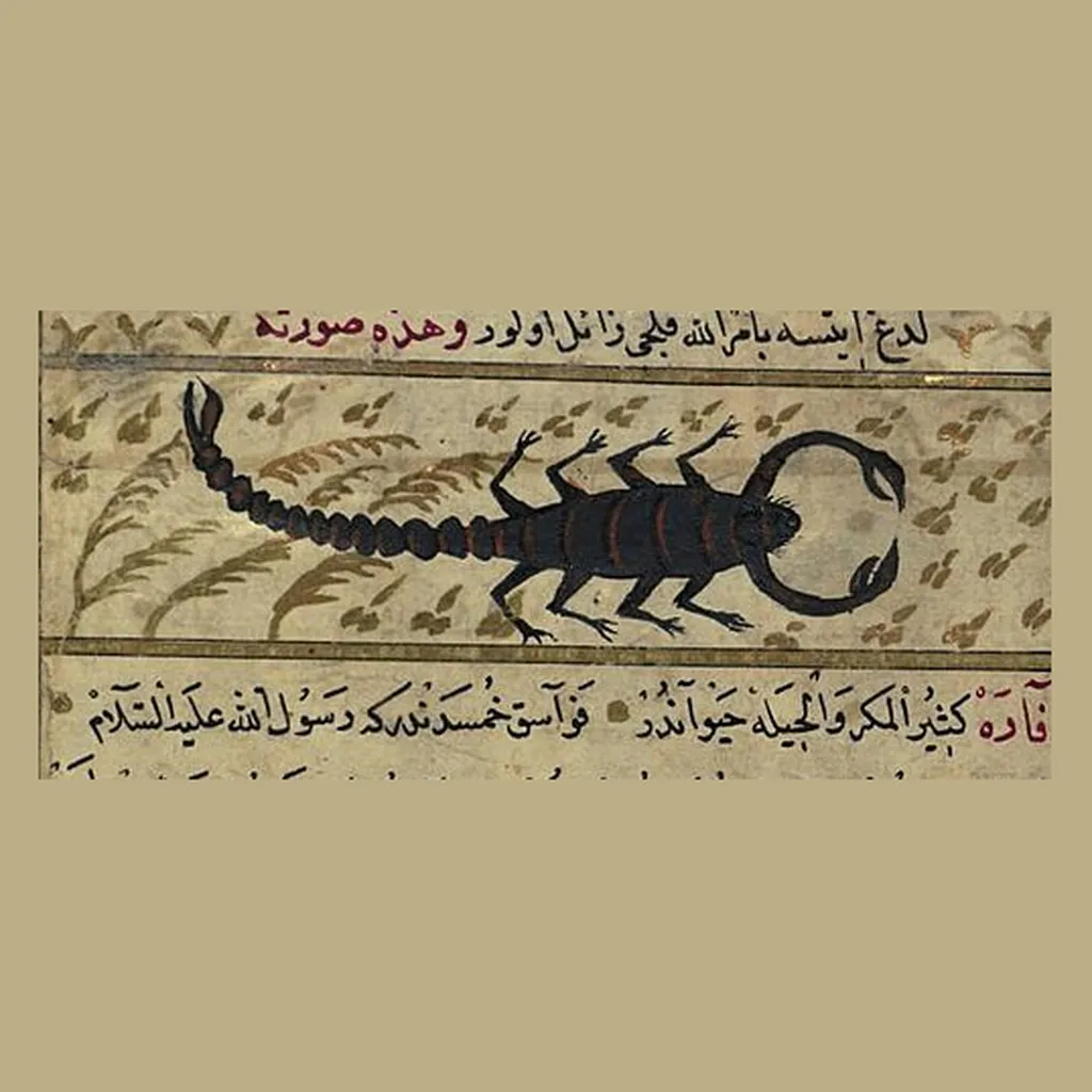 عقرب: المنمنمة في المخطوط