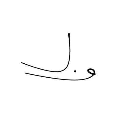 وسيم الحوري