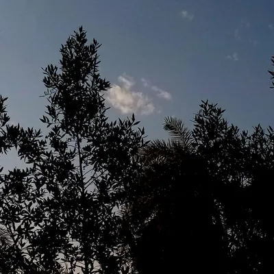 فَتى شاعر💚