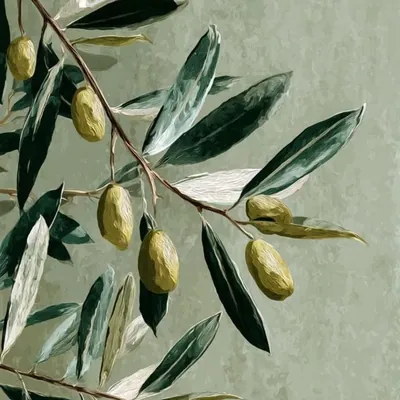 نَسيـــم